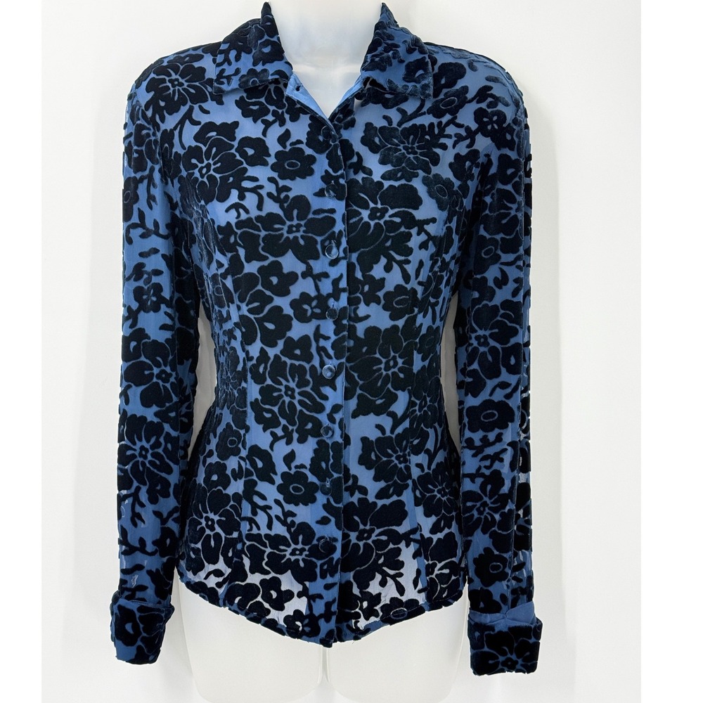 Vtg 90s Velvet Burn Out Ann Taylor Top Womens sz 4 Whimsigoth Silk Rayon elegant
